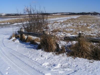 Beautiful Winter Morning