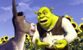 Shrek Donkey Onions Sunflowers