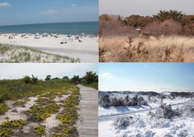 And all those other seasons we enjoy...