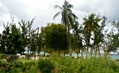 Don't need any pollution.