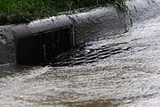 Polluted Water?