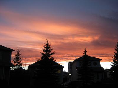 Calgary Chinook
