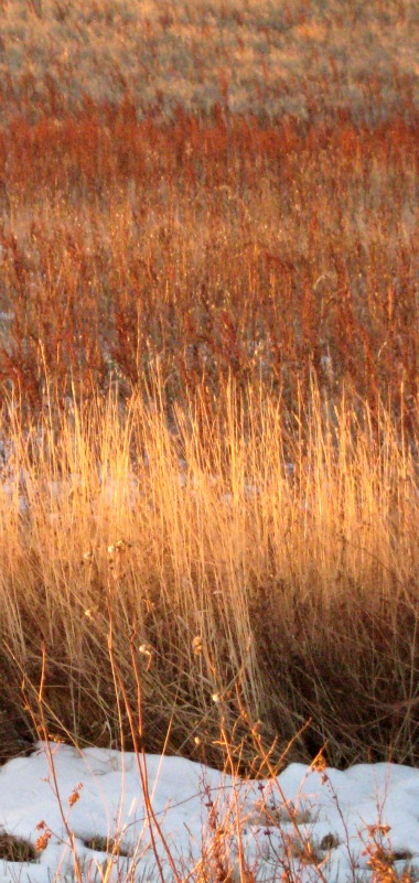 Interdependence and Changes