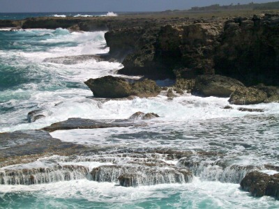 Tropical Getaway<br>just as nice as Canadian ones