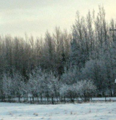 ♪-Oh the weather outside is frightful-♫