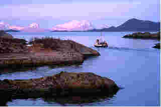 Effects of Global Warming