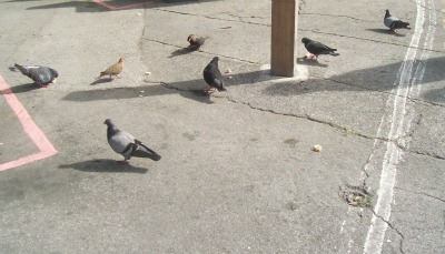 Keeping our species alive