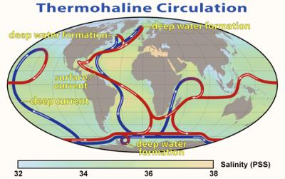 The Great Ocean Conveyor<br>Red for surface path and Blue for deep ocean current
