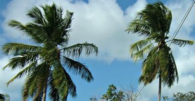 The effects of wind
