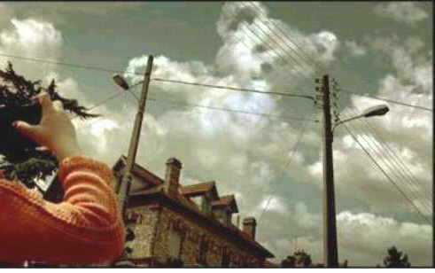 Bear in the Air