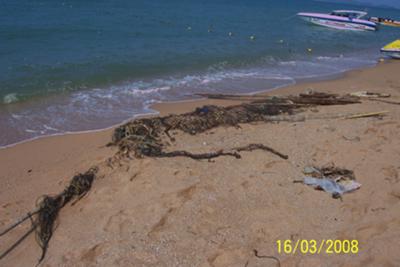 Old line and fishing nets thrown overboard