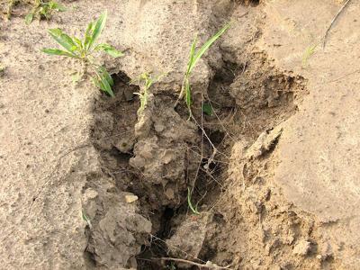 Soil eroded by running water