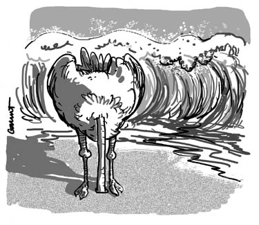 That'll protect him...